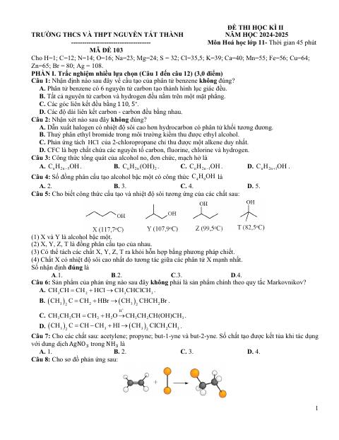 Đề thi Học kì 2 Hóa học 11 năm 2024-2025 trường THCS&THPT Nguyễn Tất Thành (Hà Nội)